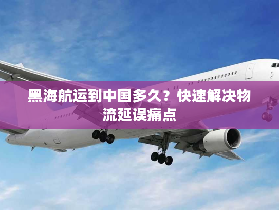 黑海航运到中国多久？快速解决物流延误痛点