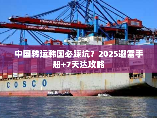 中国转运韩国必踩坑？2025避雷手册+7天达攻略