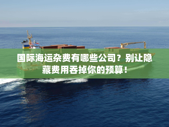 国际海运杂费有哪些公司？别让隐藏费用吞掉你的预算！