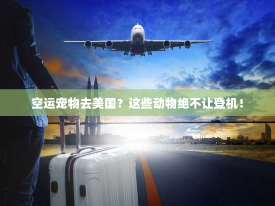 空运宠物去美国?这些动物绝不让登机! 空运宠物去美国?这些动物绝不让登机!