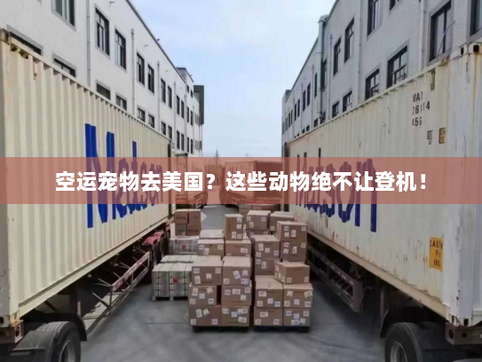空运宠物去美国?这些动物绝不让登机! 空运宠物去美国?这些动物绝不让登机!