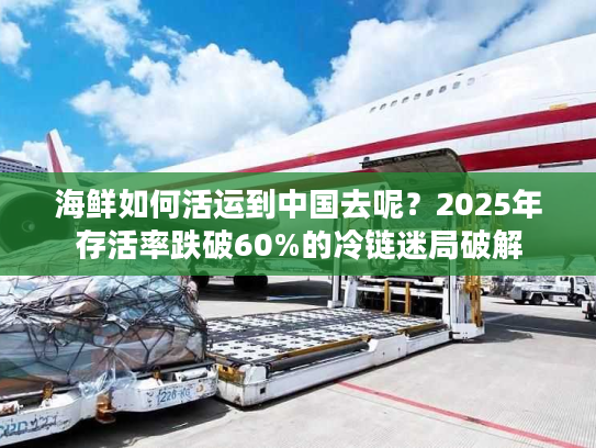 海鲜如何活运到中国去呢？2025年存活率跌破60%的冷链迷局破解