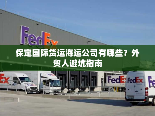 保定国际货运海运公司有哪些？外贸人避坑指南