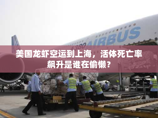 美国龙虾空运到上海,活体死亡率飙升是谁在偷懒? 美国龙虾空运到上海,活体死亡率飙升是谁在偷懒?