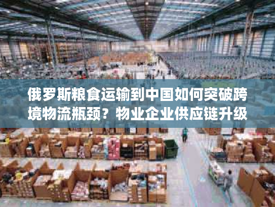 俄罗斯粮食运输到中国如何突破跨境物流瓶颈？物业企业供应链升级指南