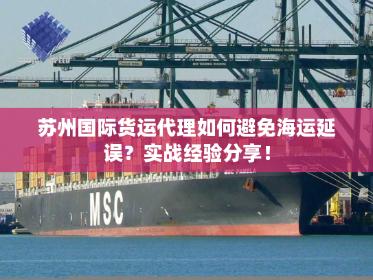 苏州国际货运代理如何避免海运延误？实战经验分享！