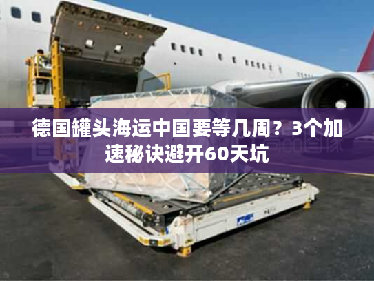 德国罐头海运中国要等几周？3个加速秘诀避开60天坑