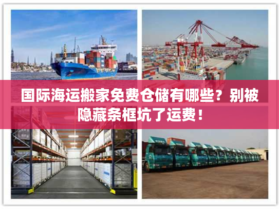 国际海运搬家免费仓储有哪些？别被隐藏条框坑了运费！