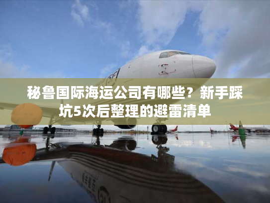 秘鲁国际海运公司有哪些？新手踩坑5次后整理的避雷清单