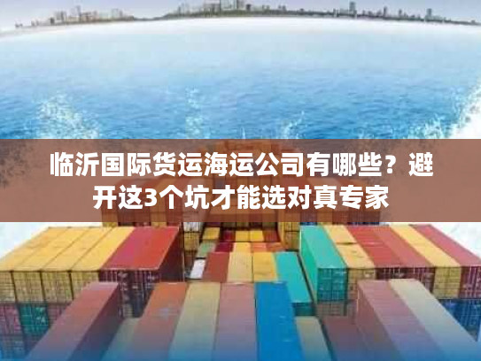 临沂国际货运海运公司有哪些？避开这3个坑才能选对真专家