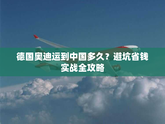 德国奥迪运到中国多久？避坑省钱实战全攻略