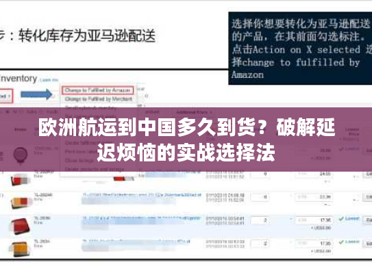 欧洲航运到中国多久到货？破解延迟烦恼的实战选择法