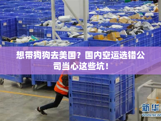 想带狗狗去美国?国内空运选错公司当心这些坑! 想带狗狗去美国?国内空运选错公司当心这些坑!