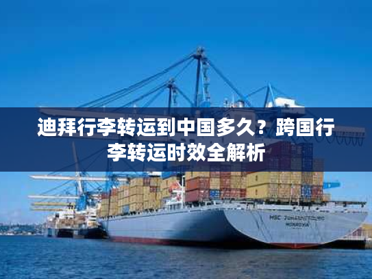 迪拜行李转运到中国多久？跨国行李转运时效全解析