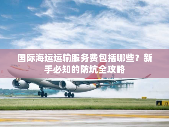 国际海运运输服务费包括哪些？新手必知的防坑全攻略