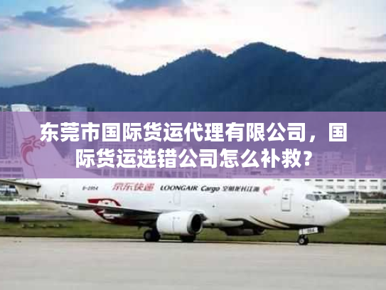 东莞市国际货运代理有限公司，国际货运选错公司怎么补救？