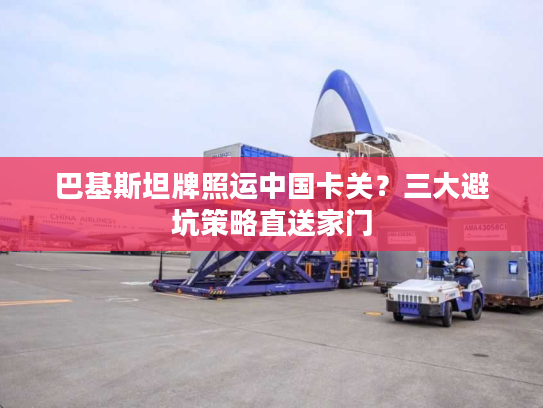 巴基斯坦牌照运中国卡关?三大避坑策略直送家门 巴基斯坦牌照运中国卡关?三大避坑策略直送家门