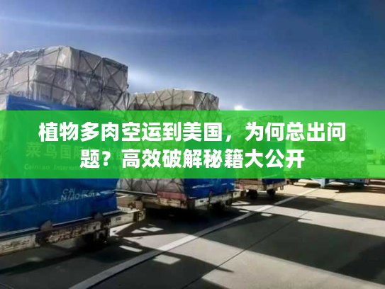 植物多肉空运到美国，为何总出问题？高效破解秘籍大公开