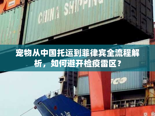 宠物从中国托运到菲律宾全流程解析,如何避开检疫雷区? 宠物从中国托运到菲律宾全流程解析,如何避开检疫雷区?