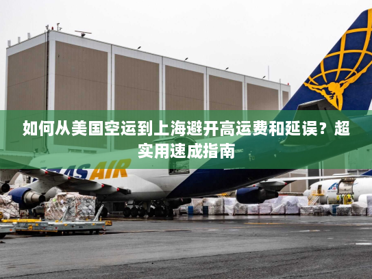 如何从美国空运到上海避开高运费和延误？超实用速成指南