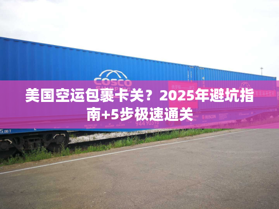 美国空运包裹卡关？2025年避坑指南+5步极速通关