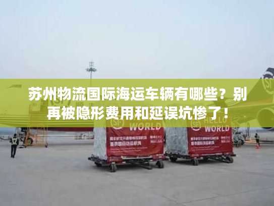 苏州物流国际海运车辆有哪些？别再被隐形费用和延误坑惨了！