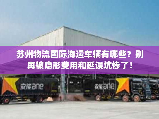 苏州物流国际海运车辆有哪些？别再被隐形费用和延误坑惨了！