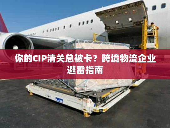 你的CIP清关总被卡？跨境物流企业避雷指南