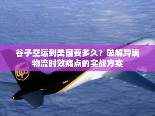 谷子空运到美国要多久？破解跨境物流时效痛点的实战方案