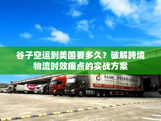 谷子空运到美国要多久？破解跨境物流时效痛点的实战方案