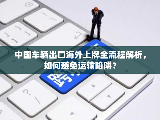 中国车辆出口海外上牌全流程解析，如何避免运输陷阱？