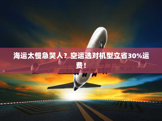 海运太慢急哭人?空运选对机型立省30%运费!