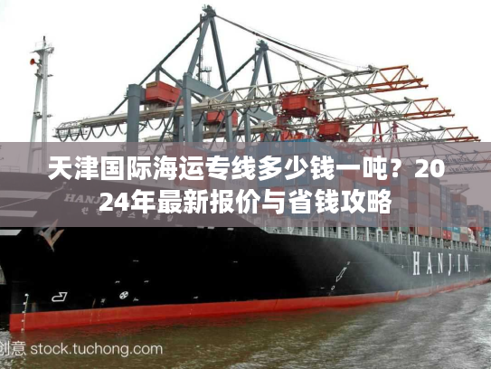 天津国际海运专线多少钱一吨？2024年最新报价与省钱攻略