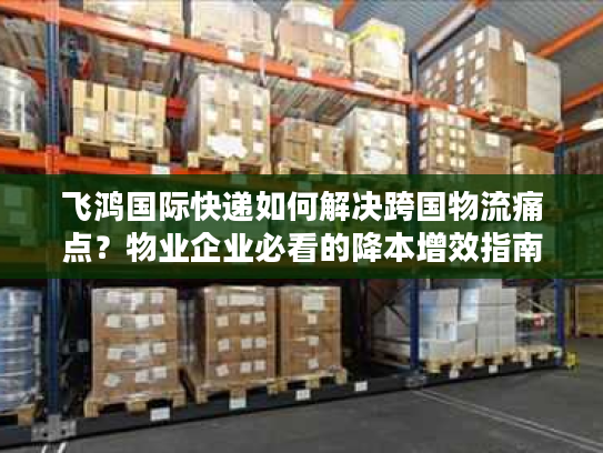 飞鸿国际快递如何解决跨国物流痛点？物业企业必看的降本增效指南