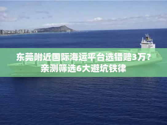 东莞附近国际海运平台选错赔3万？亲测筛选6大避坑铁律
