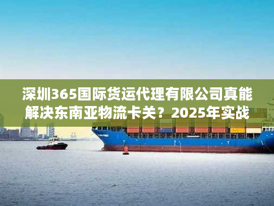 深圳365国际货运代理有限公司真能解决东南亚物流卡关？2025年实战避坑清单