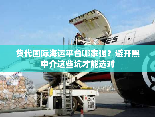 货代国际海运平台哪家强？避开黑中介这些坑才能选对
