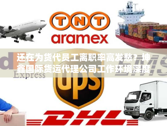 还在为货代员工离职率高发愁？坤鑫国际货运代理公司工作环境深度拆解（附真实考察法）