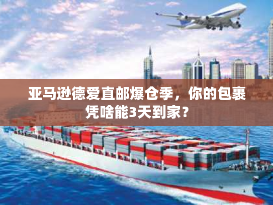 亚马逊德爱直邮爆仓季，你的包裹凭啥能3天到家？