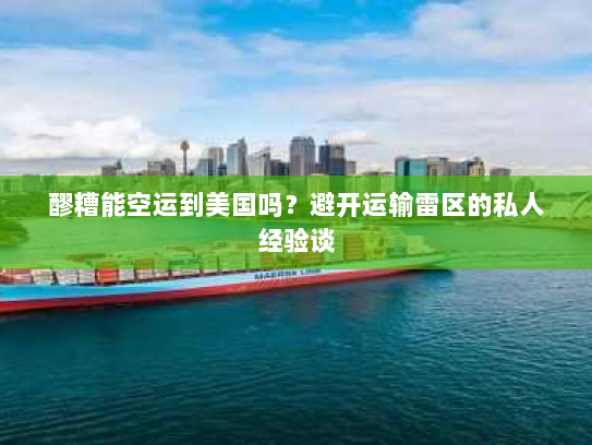 醪糟能空运到美国吗？避开运输雷区的私人经验谈