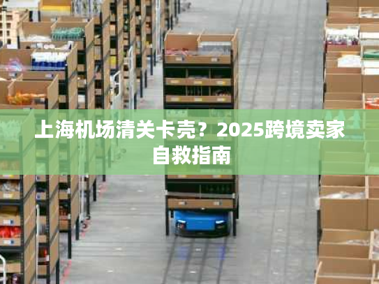 上海机场清关卡壳？2025跨境卖家自救指南