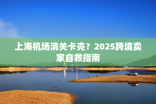上海机场清关卡壳？2025跨境卖家自救指南