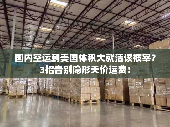 国内空运到美国体积大就活该被宰？3招告别隐形天价运费！