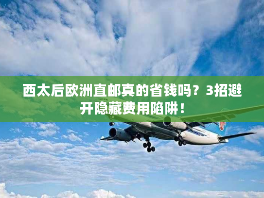 西太后欧洲直邮真的省钱吗？3招避开隐藏费用陷阱！