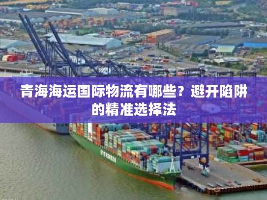 青海海运国际物流有哪些？避开陷阱的精准选择法