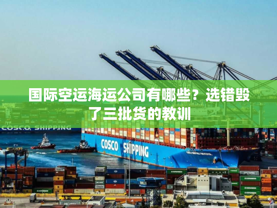 国际空运海运公司有哪些？选错毁了三批货的教训