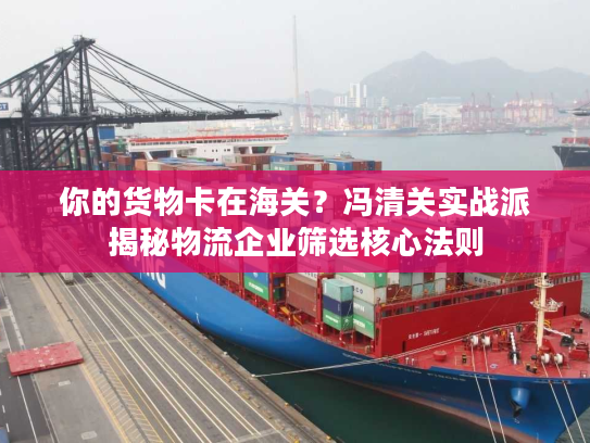 你的货物卡在海关?冯清关实战派揭秘物流企业筛选核心法则 你的货物卡在海关?冯清关实战派揭秘物流企业筛选核心法则