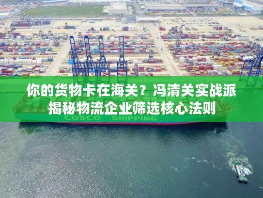 你的货物卡在海关?冯清关实战派揭秘物流企业筛选核心法则 你的货物卡在海关?冯清关实战派揭秘物流企业筛选核心法则