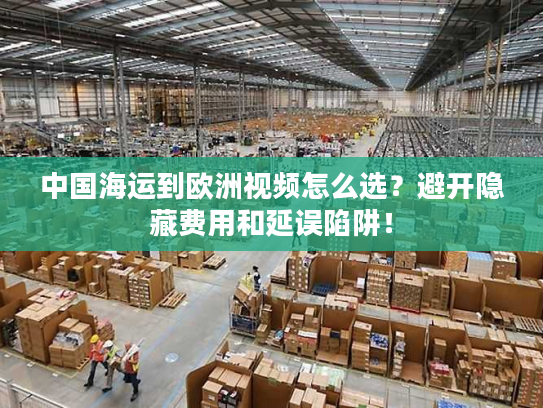 中国海运到欧洲视频怎么选？避开隐藏费用和延误陷阱！