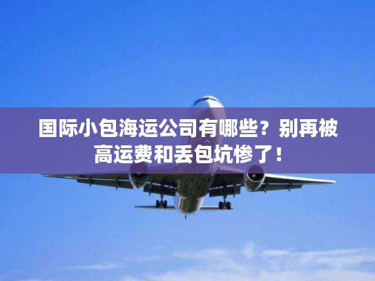 国际小包海运公司有哪些？别再被高运费和丢包坑惨了！